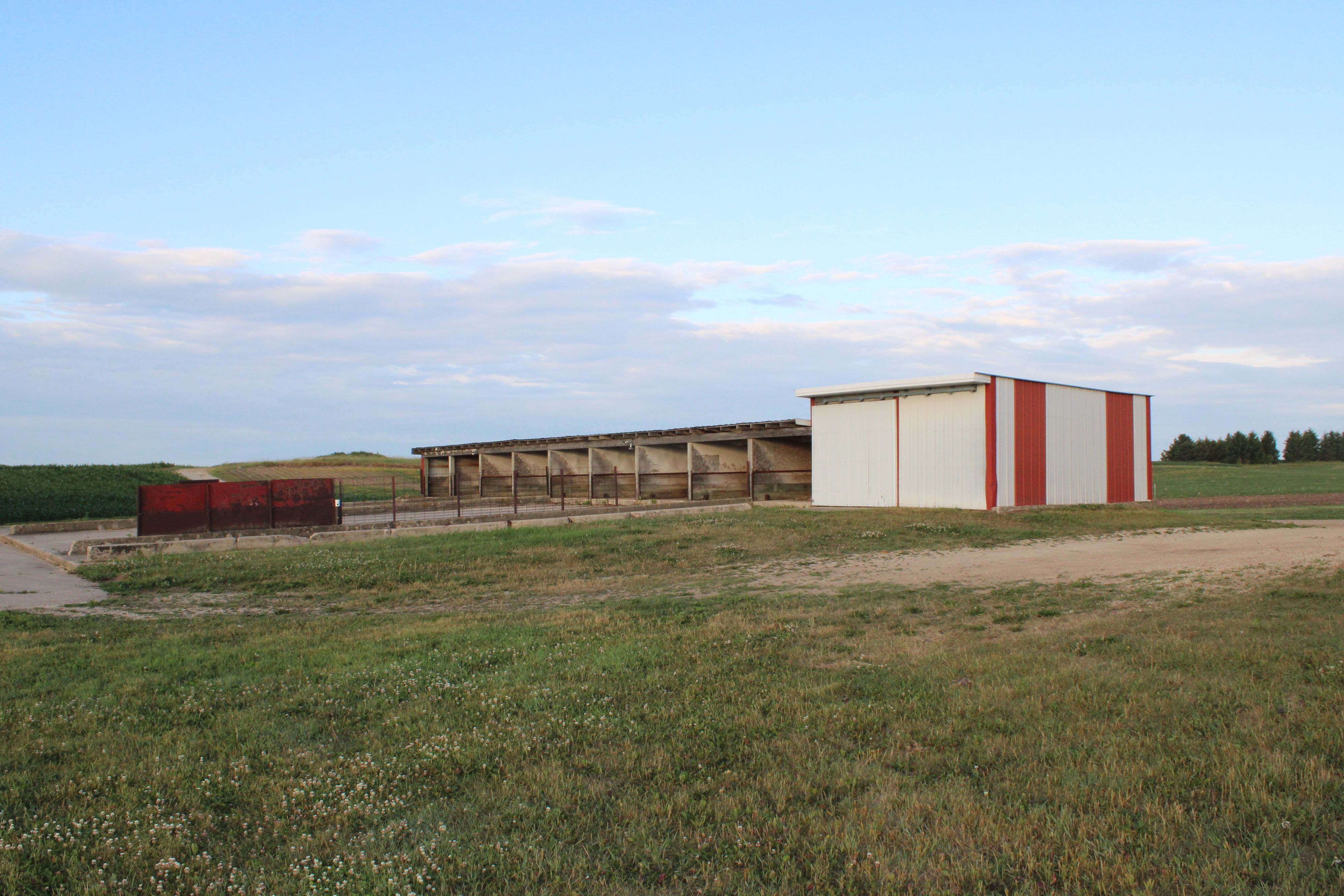 Listing Photo: Farmsite Acreage Kasson Minnesota Dodge County Southern Minnesota